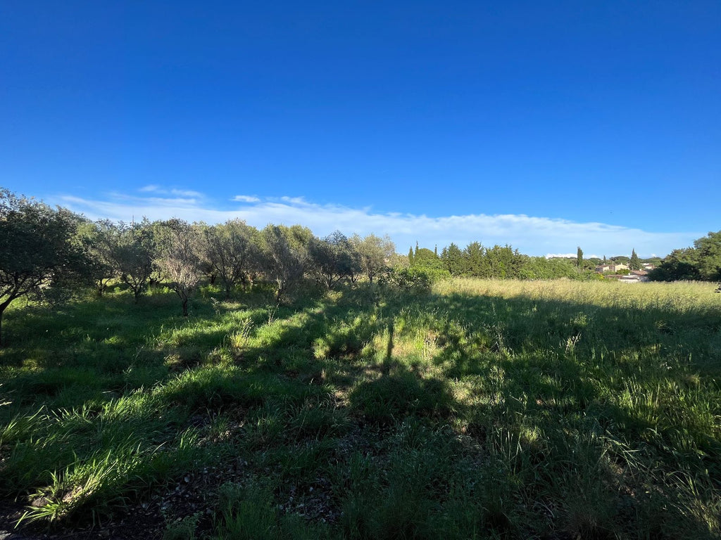 Lotissement les Jardins du Gabron: 6 terrains nus à bâtir à Pujet sur Argens